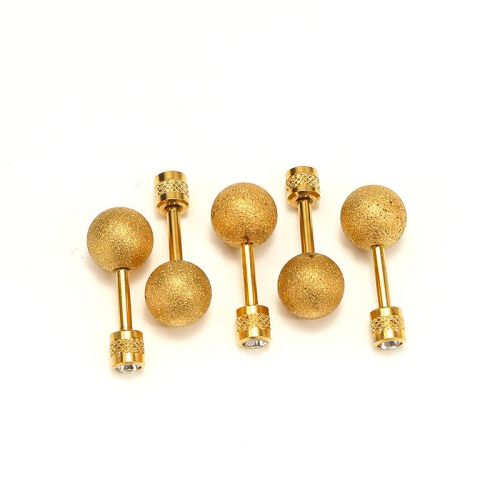 Gold Titanium Steel Earrings