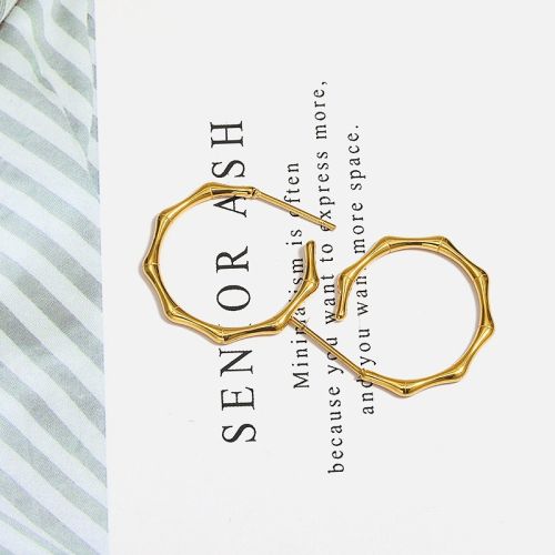 Gold Titanium Steel Hoop Earrings