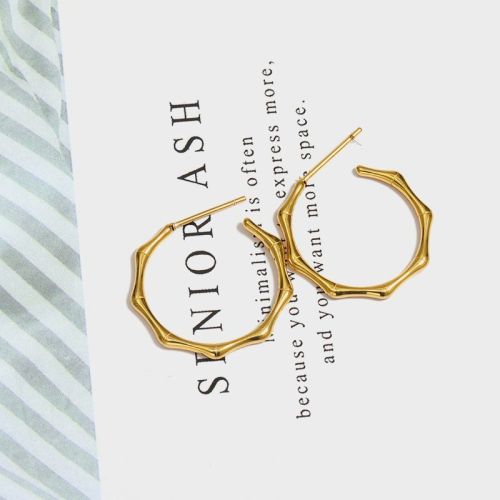 Gold Titanium Steel Hoop Earrings