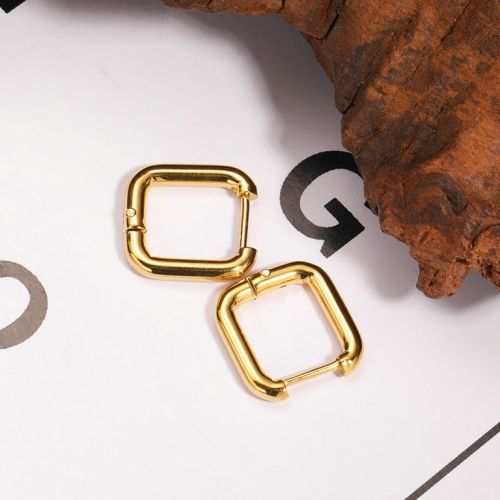 Gold Titanium Steel Earrings