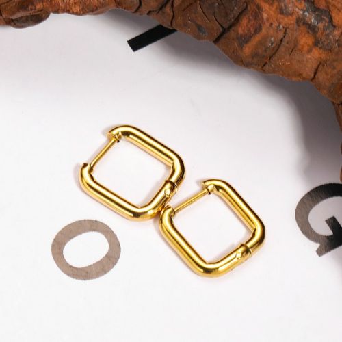 Gold Titanium Steel Earrings