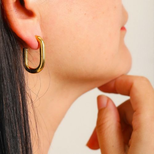 Gold Titanium Steel Hoop Earrings