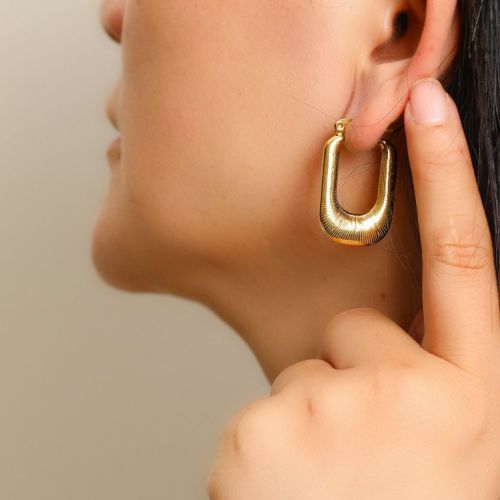 Gold Titanium Steel Earrings