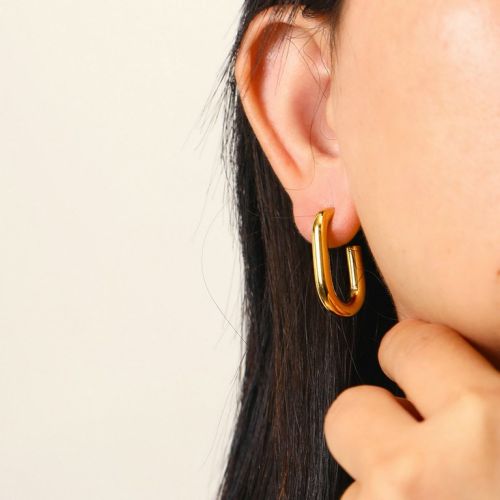 Gold Titanium Steel Hoop Earrings