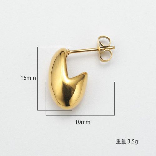 Gold Titanium Steel Earrings