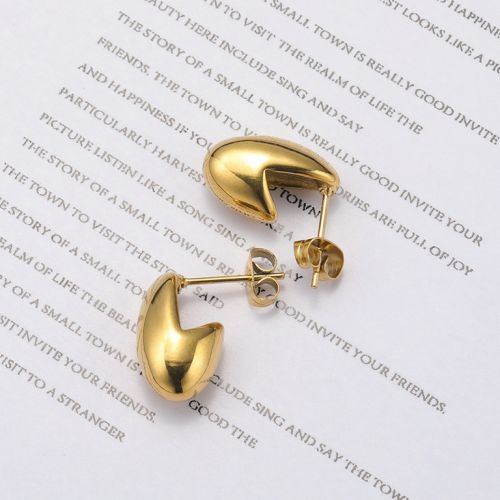 Gold Titanium Steel Earrings