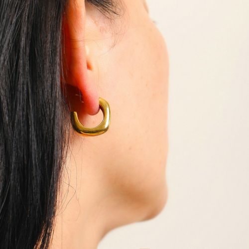 Gold Titanium Steel Earrings