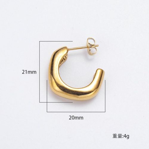 Gold Titanium Steel Earrings