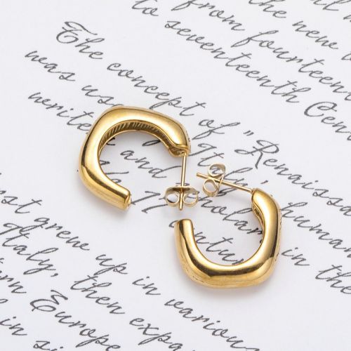 Gold Titanium Steel Earrings