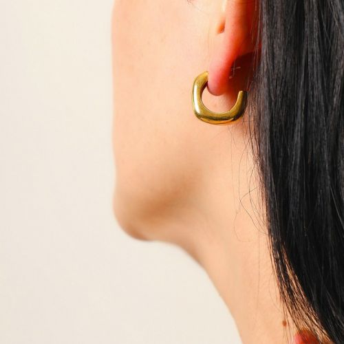 Gold Titanium Steel Earrings