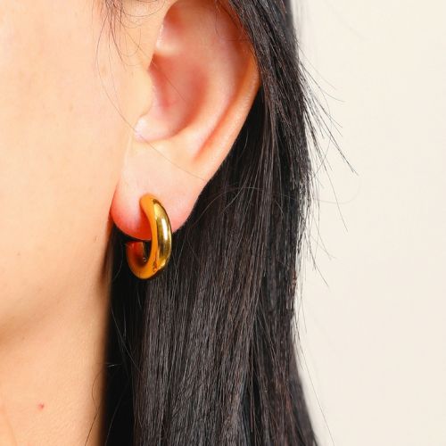 Gold S.Steel Earrings