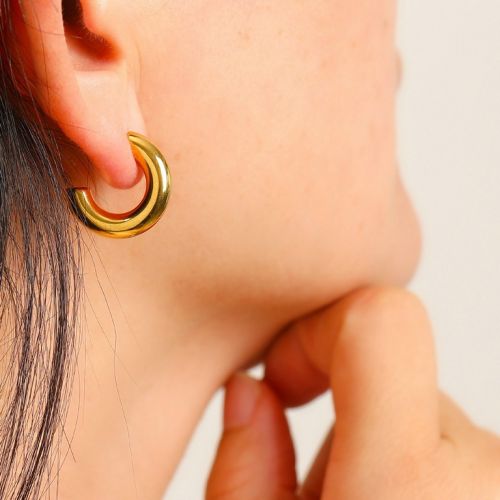 Gold S.Steel Earrings