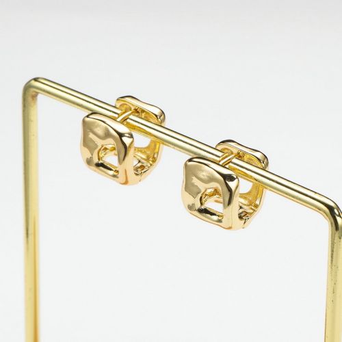 Gold S.Steel Earrings