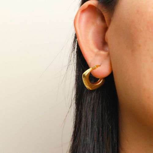 Gold Titanium Steel Earrings