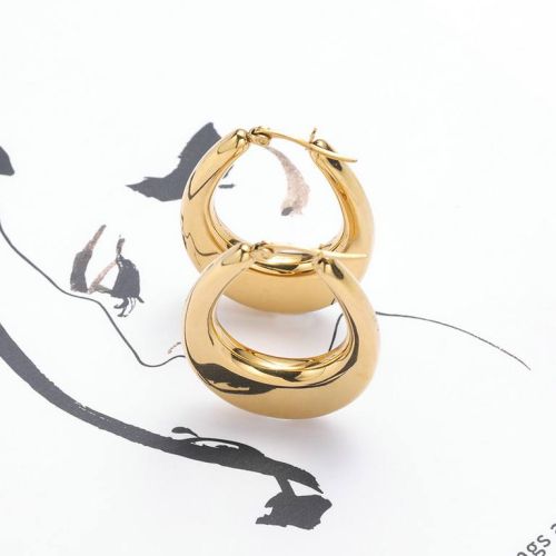 Gold Titanium Steel Earrings