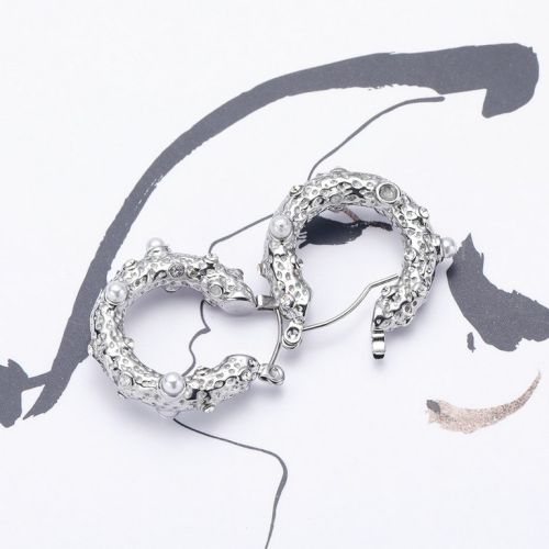 Titanium Steel Hoop Earrings