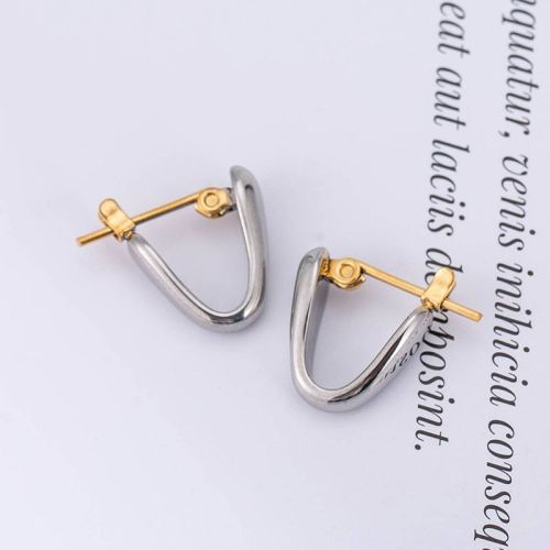 Gold S.Steel and Steel S.Steel Earrings