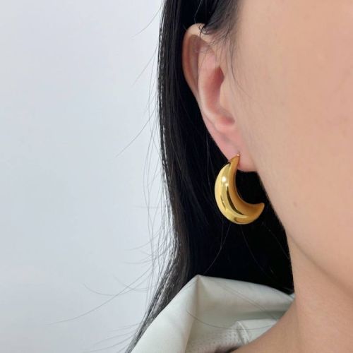 Gold S.Steel Earrings