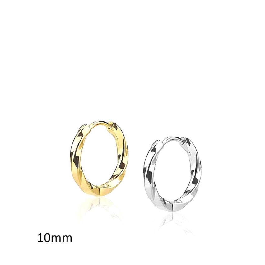 S.Steel Hoop (Standard) Earrings